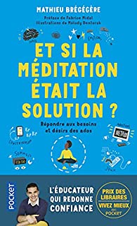 Et si la méditation était la solution - Mathieu Brégégère